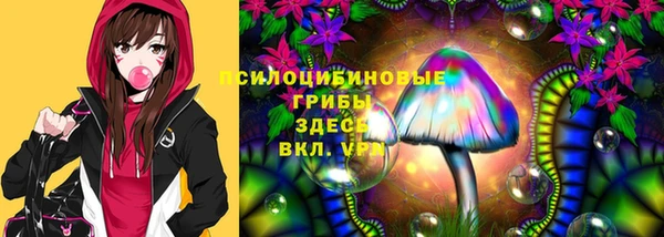 дмт Медвежьегорск