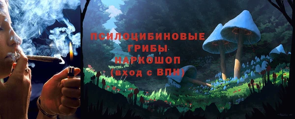 a pvp Медногорск