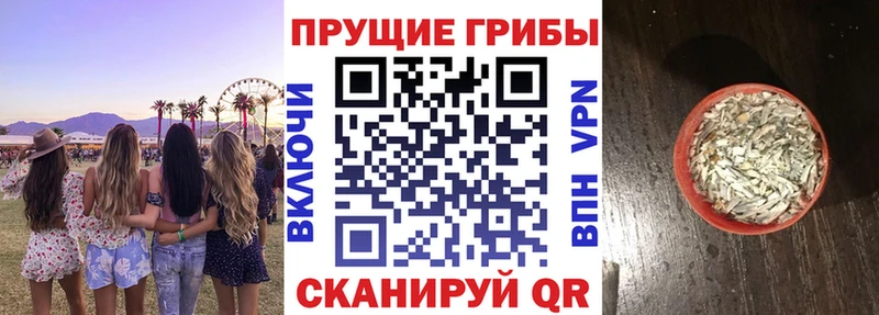 Галлюциногенные грибы Cubensis Тарко-Сале